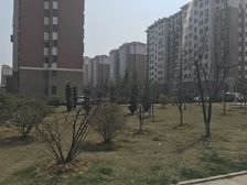 德尚世家+精装修+3室2卫+带车位储藏室