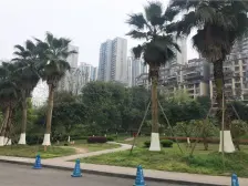 双山商圈 公园里 住家一房 可拎包入住