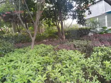 天星桥 天星康韵二期一房