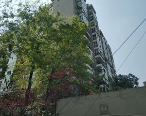 龙锦晓筑 3室2厅 东南