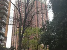 金阳易诚时代 1室1厅 东南