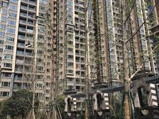 南城都汇汇彩园 3室2厅 北