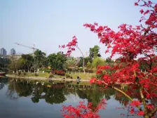 中建御湖壹号C御澜 4室2厅 南