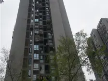 回兴 汀香树三房80万