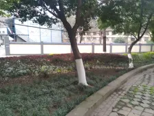 汇景铂庭 1室1厅 南