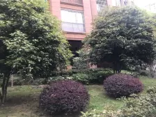 恋湖学郡 4室2厅 东南