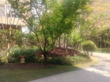 恒大天府半岛二期 2室2厅 北 西北