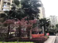 回兴 南方玫瑰城黄瑰苑B2区三房186万