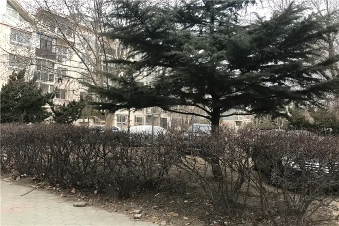 双欣园