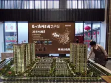 龙湖天宸原著 4室2厅 南