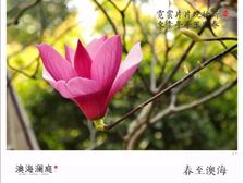 此房满五唯一,山景视野纯享房,楼下公交可直达地铁站