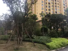 清水跃层三房,交通便利,配套齐全,视野开阔。