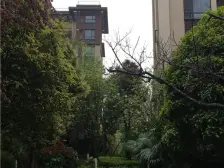 礼嘉公园旁带花园的两房,业主诚心出售