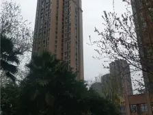 中德茵莱国际 2室1厅 南