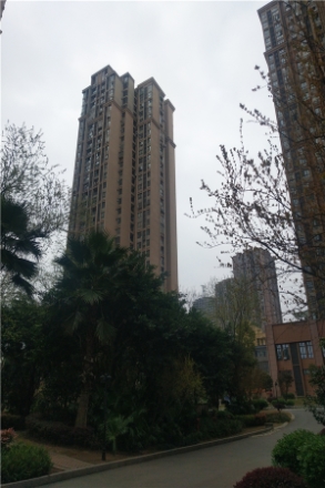 中德茵莱国际