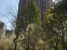 蓝润蓝客城 3室1厅 东南