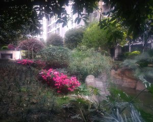 香山半岛 2室1厅 南