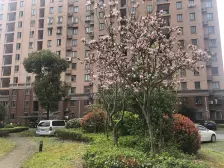 视野开阔,近万达,菜场200米,门口就是公交车站