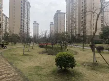方正户型 舒适空间 餐/客/ 一体 明朗阔绰