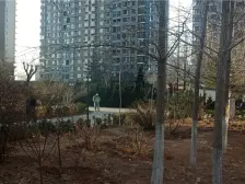 碧海尚城正规南向一室 价格美丽