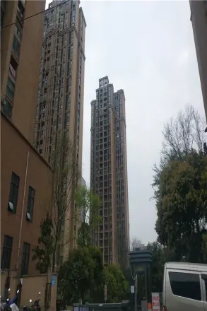 中德茵莱国际