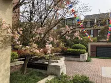 小区2016年竣工,总高8楼电梯洋房,小区有联排和