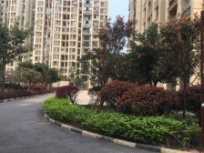 鱼洞 云水苑二房45万