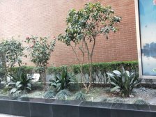 满五售后公房,近地铁、闸北公园,医院,全明电梯两房