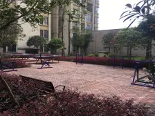 鱼洞 云水苑一房25万