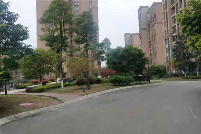 中德茵莱国际