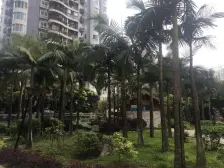 鼎盛山水 4室2厅 东