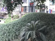 红旗河沟双轻轨 住家大三房 顶楼有露台 出行方便