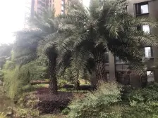 申佳上海时光 2室2厅 东南