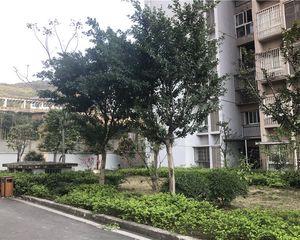 花溪龙成小区一房