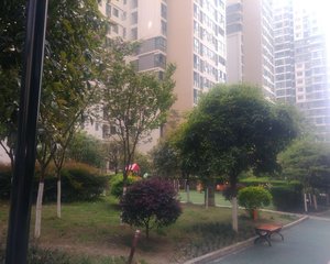 香山半岛 3室1厅 南