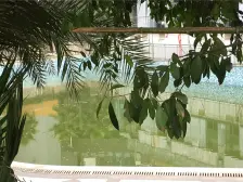 此房源满五唯一,带前后花园,本房源通车库