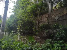 天星康韵 2室1厅 东南