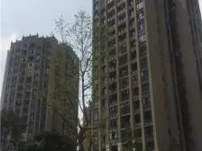 小高层,楼层好,看湖中庭 业主诚心卖