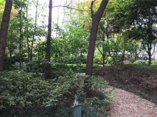 加州新牌坊 荣鼎国际二房92.7万