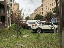 晨星茜浦苑,顶楼带阁楼,只有契税,看房方便。