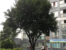 成熟小区 配套完善 交通便利 居家一房