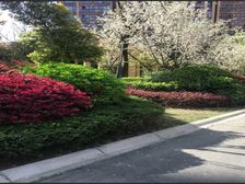 蓝润蓝客城 3室1厅 东南