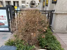 万国三期一室下楼就是近体育公园