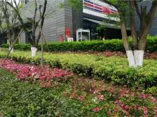 一线江景无遮挡 横厅品质大4房 业主安心卖