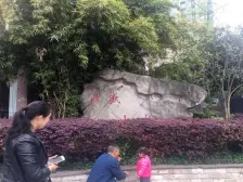 双碑 鼎盛山水二房58万