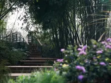 佣金6666元 龙兴 华宇两江御临府一期四房118万