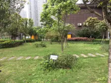 龙洲湾 万友四季缤纷二房50万