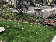 南城都汇汇彩园 3室2厅 东南