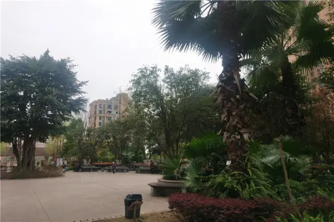 中德茵莱国际