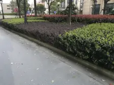 小区中间位置,全明正气户型,业主诚意出售,看房方便